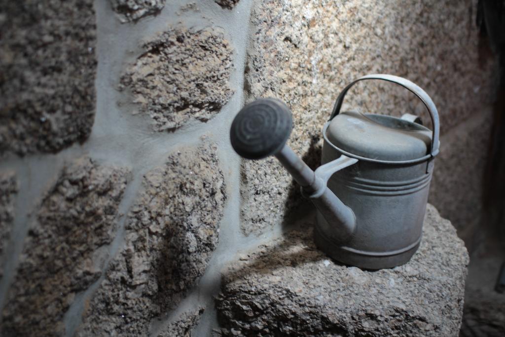 Quinta Casa Da Fonte Βίλα Vieira do Minho Εξωτερικό φωτογραφία